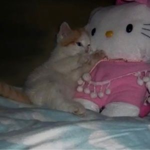 Meet your Posher, Marcus